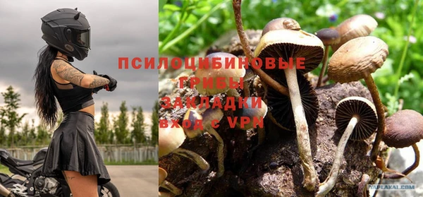 2c-b Покровск