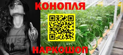 гашик Заводоуковск