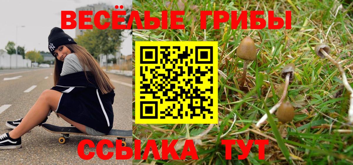 Галлюциногенные грибы GOLDEN TEACHER  Тобольск  купить наркотики сайты  Псилоцибиновые грибы MAGIC MUSHROOMS 