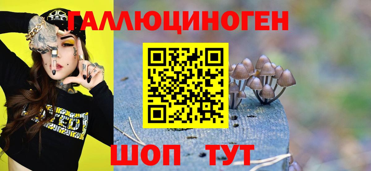 Галлюциногенные грибы Cubensis  цены наркотик  Псилоцибиновые грибы Cubensis  Тобольск  Вход с VPN 